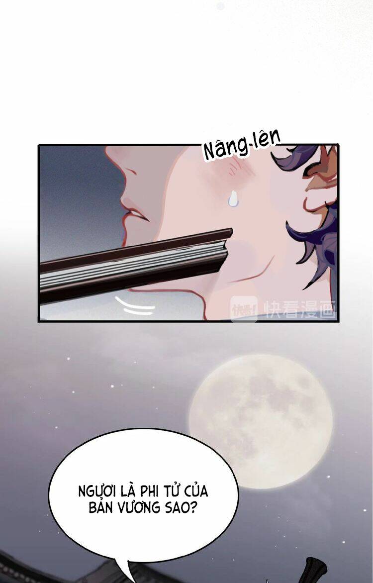 trực nam tiểu kiều phi của vương phủ chapter 0.5 1