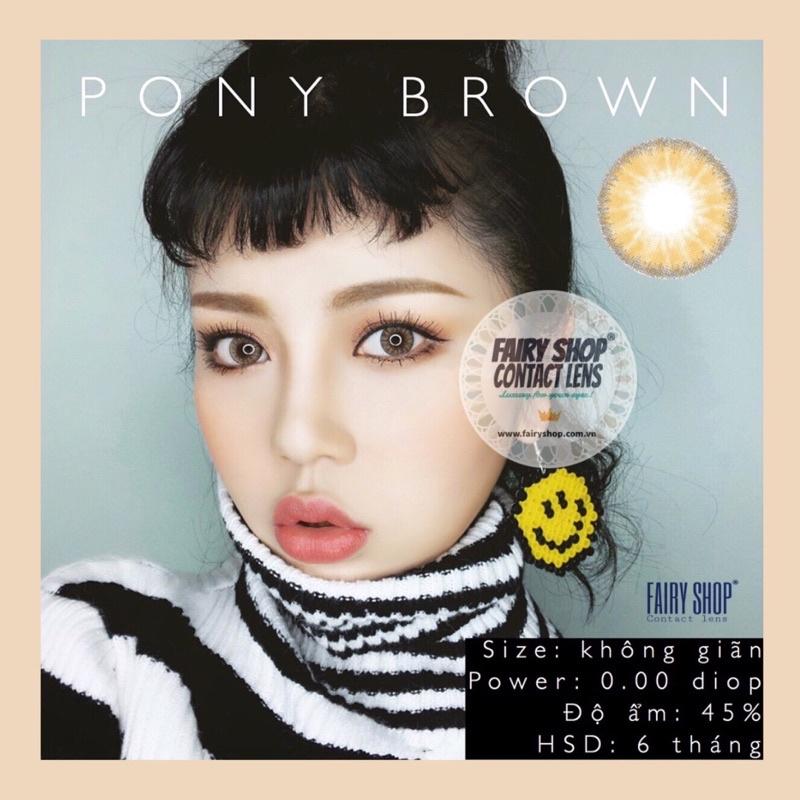 Lens 1 Ngày Venus Brown - Kính Áp Tròng Cao Cấp 1 Ngày FAIRY SHOP CONTACT LENS