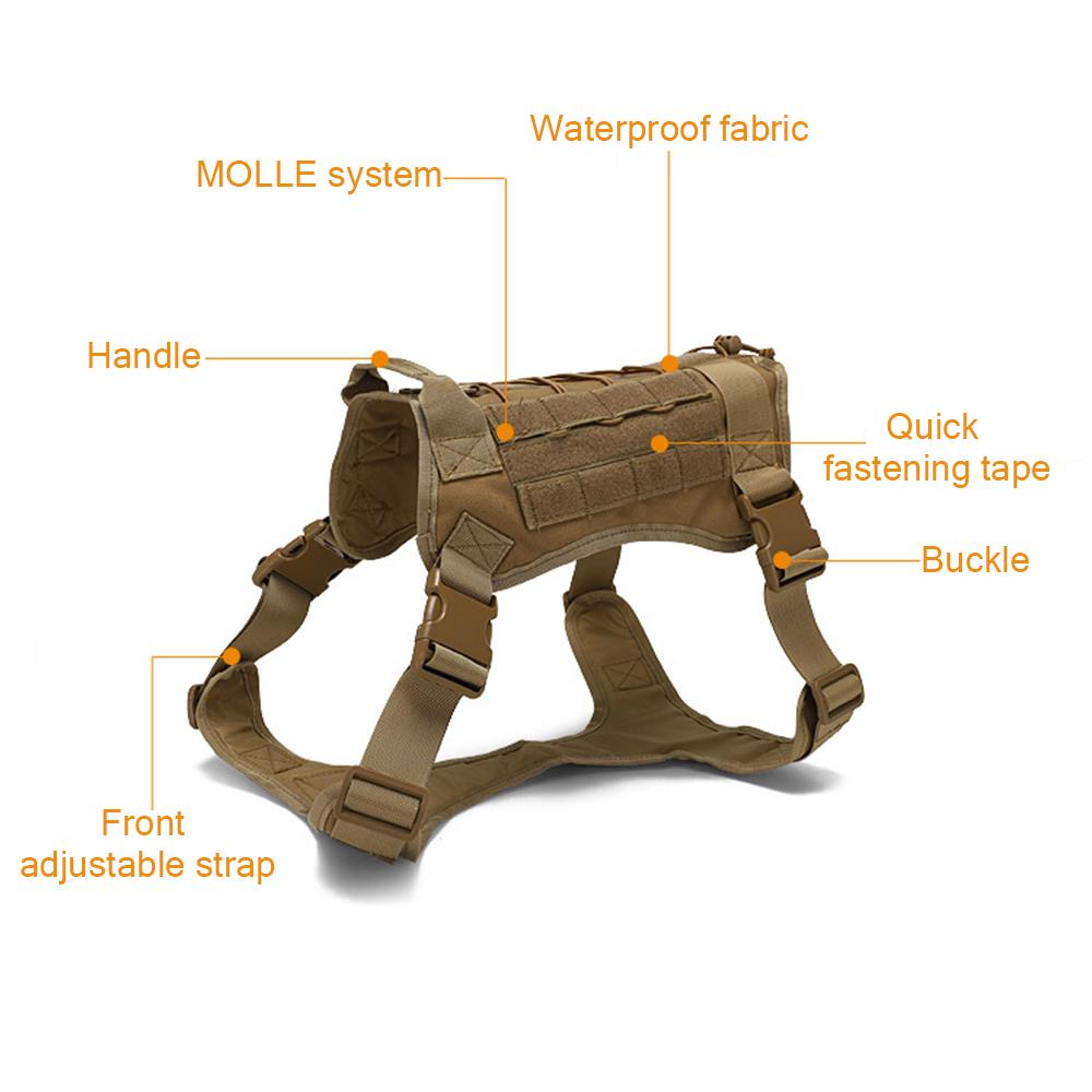 Dây buộc chó Không thấm nước