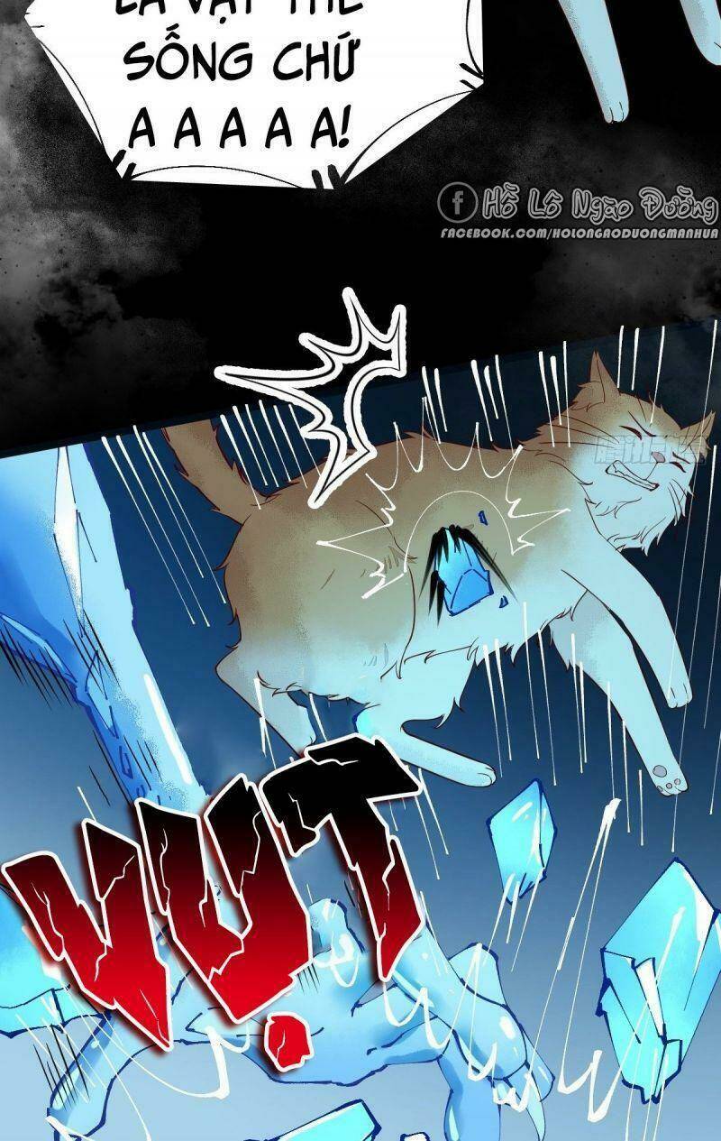 sát thủ vương phi không dễ chọc chapter 41 35