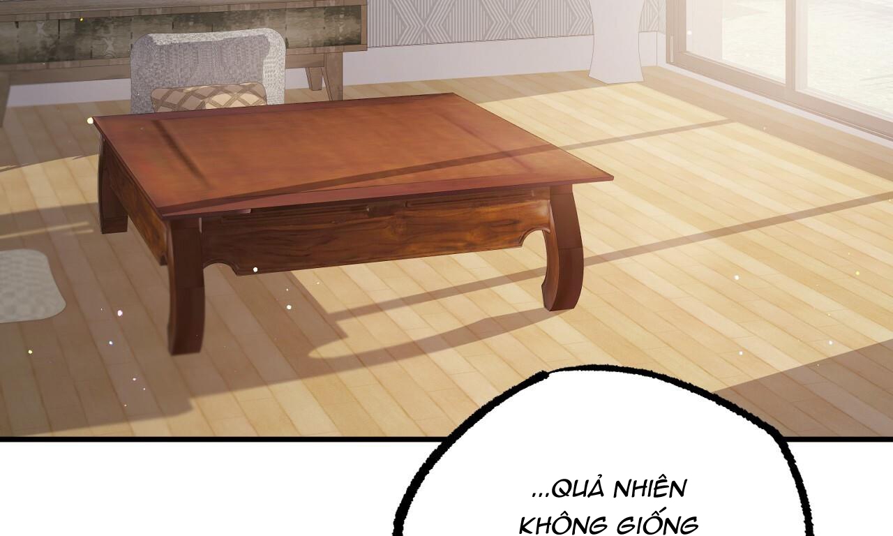 đàn thỏ của habibi chapter 33 266