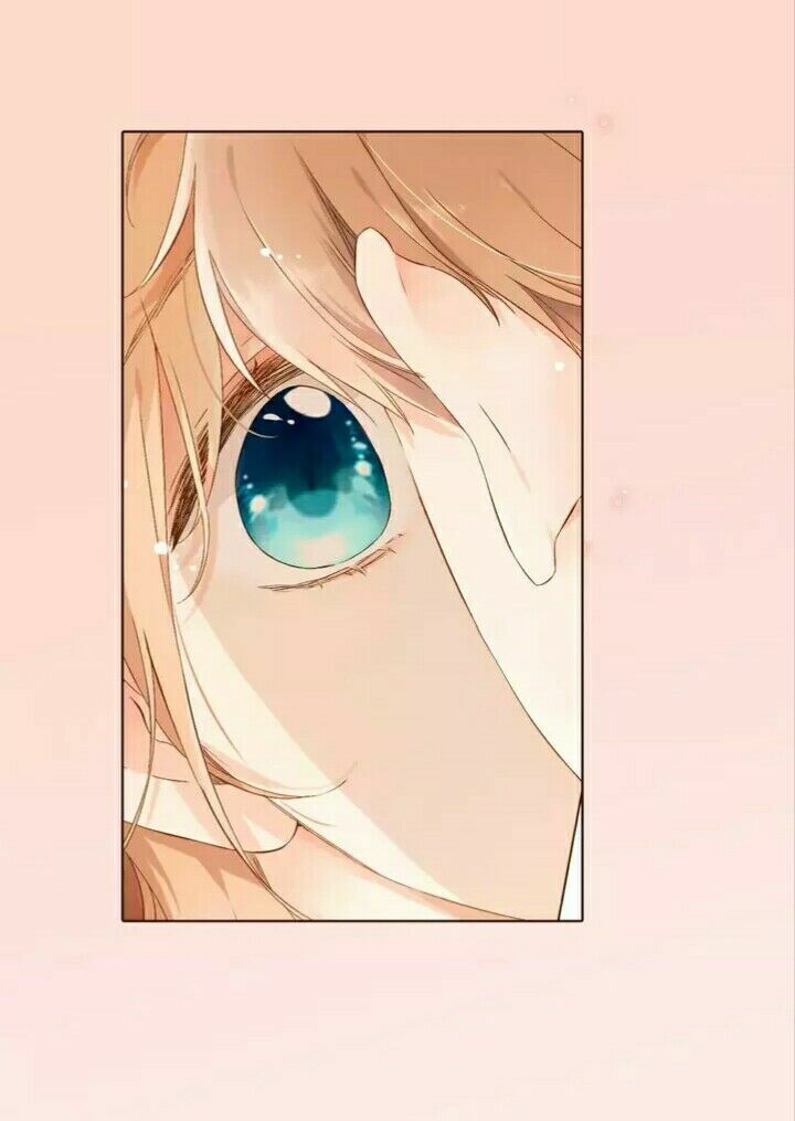 Tình yêu là màu hoa anh thảo chapter 28.2 16