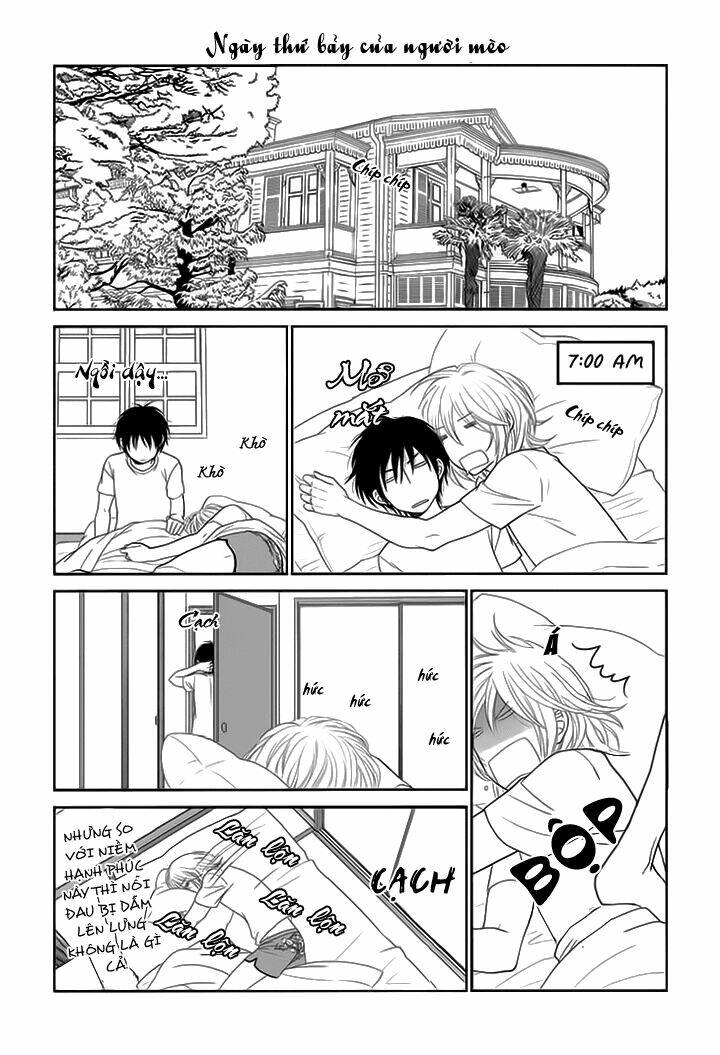 nekoka danshi no shitsukekata chapter 14 27