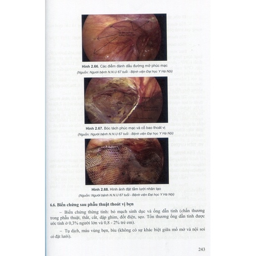 Bệnh học nam học và y học giới tính tập 1