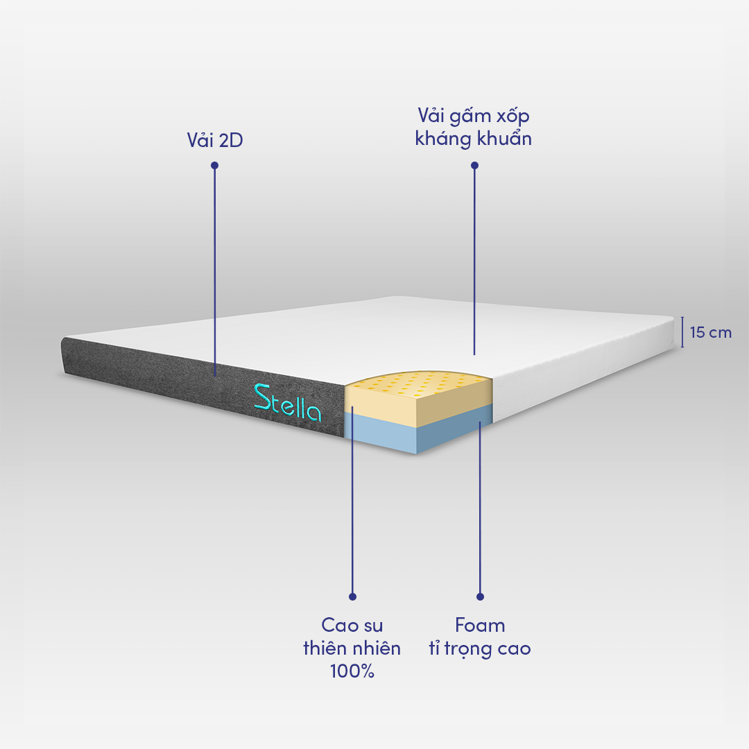 [Độc Quyền] Nệm Cao Su Thiên Nhiên Foam Cao Cấp Kim Cương Stella 15cm Công Nghệ Kháng Khuẩn Chuẩn Châu Âu, Độ Đàn Hồi Tối Ưu, Nâng Đỡ Cơ Thể Tuyệt Đối
