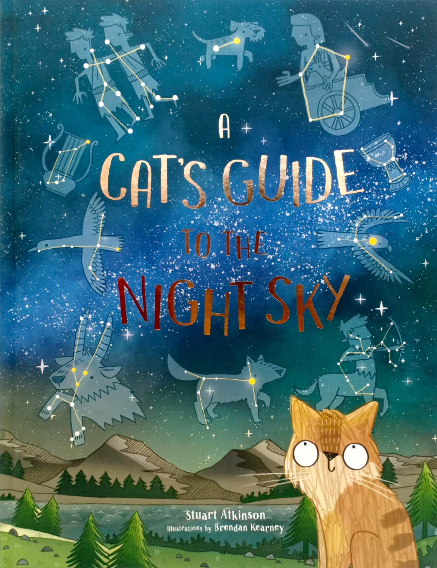 A Cat's Guide to the Night Sky