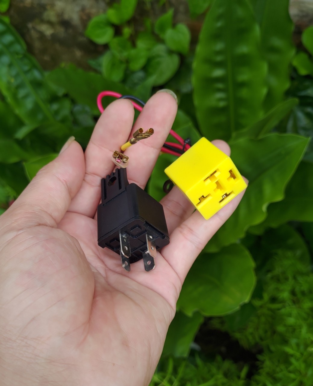 Rơ le còi hơi - ro le trung gian 12v - 30A cos đồng siêu bền rơ le 4 chân cos cắm còi