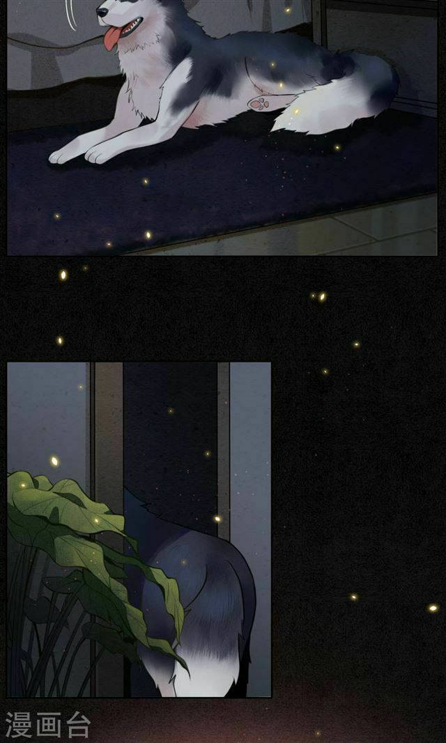 đêm ảo mộng cực lạc chapter 10 25