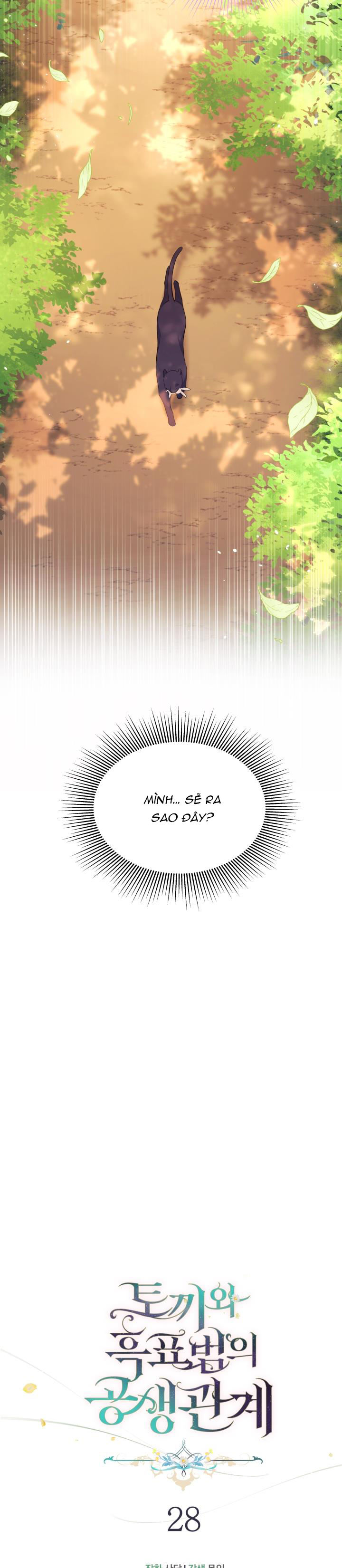 mối liên kết giữa báo đen và bé thỏ chapter 28 5