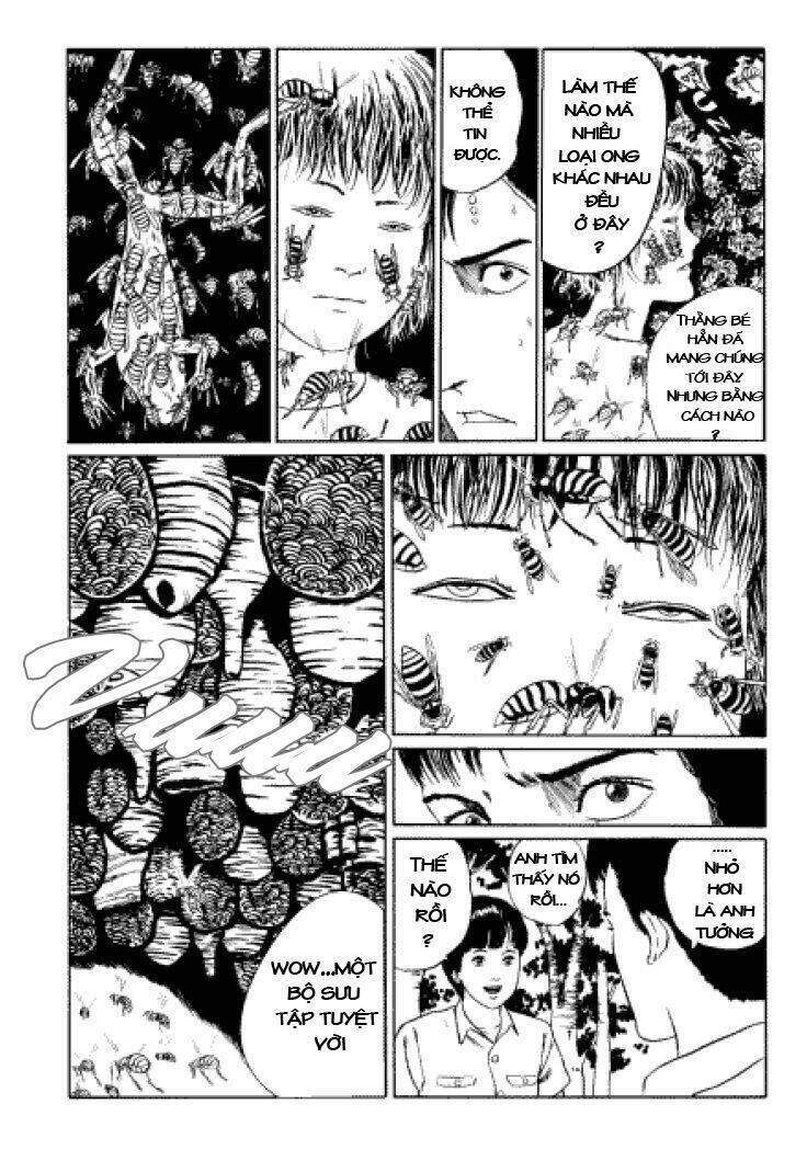 tuyển tập truyện ngắn kinh dị của ito junji chapter 3.3 23