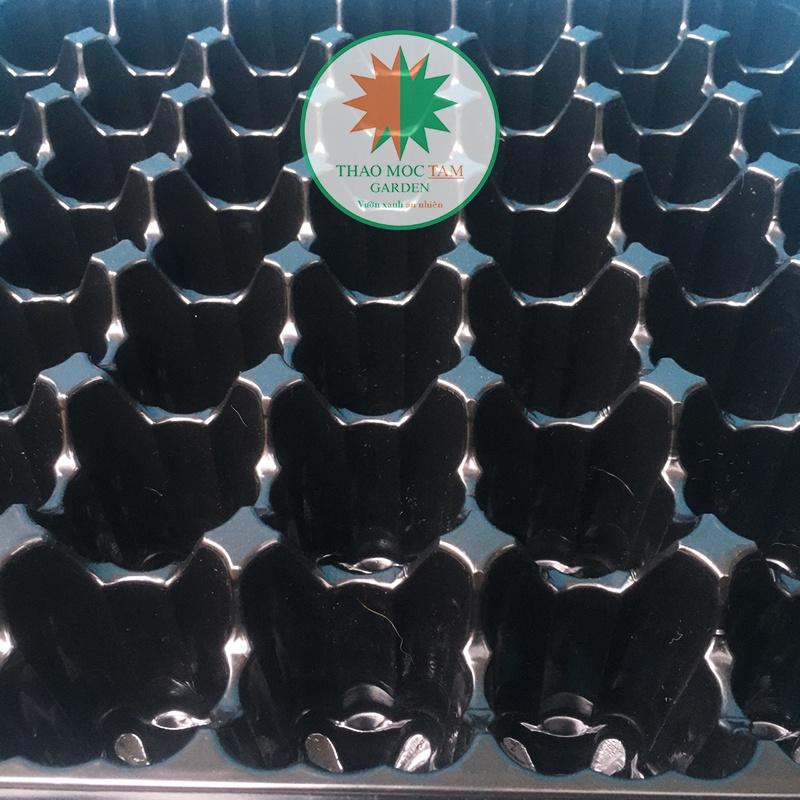 KHAY ƯƠM 49 LỖ ĐỰNG ĐƯỢC VIÊN NÉN MỤN DỪA – KHAY GIEO HẠT LỚN, GIÂM CÀNH HOA HỒNG, CÂY GIỐNG