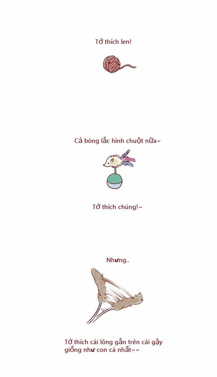 my kitty and old dog chapter 7 2