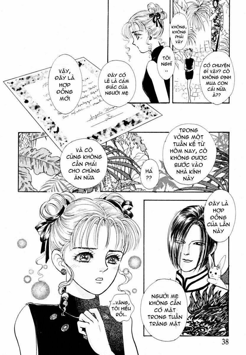 petshop of horrors chapter 1 40