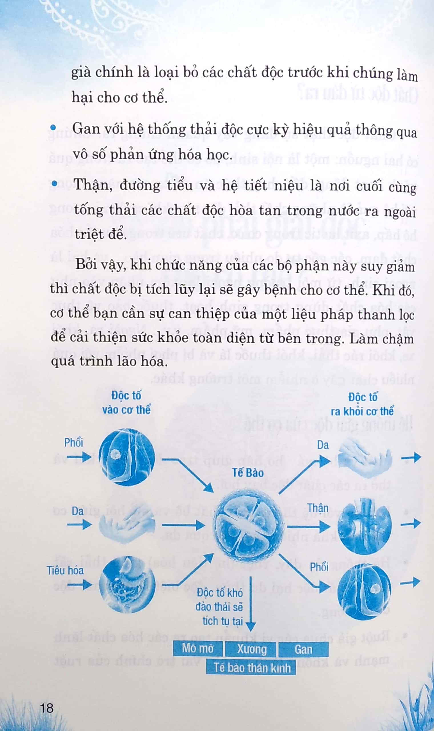 Thanh Lọc Cơ Thể