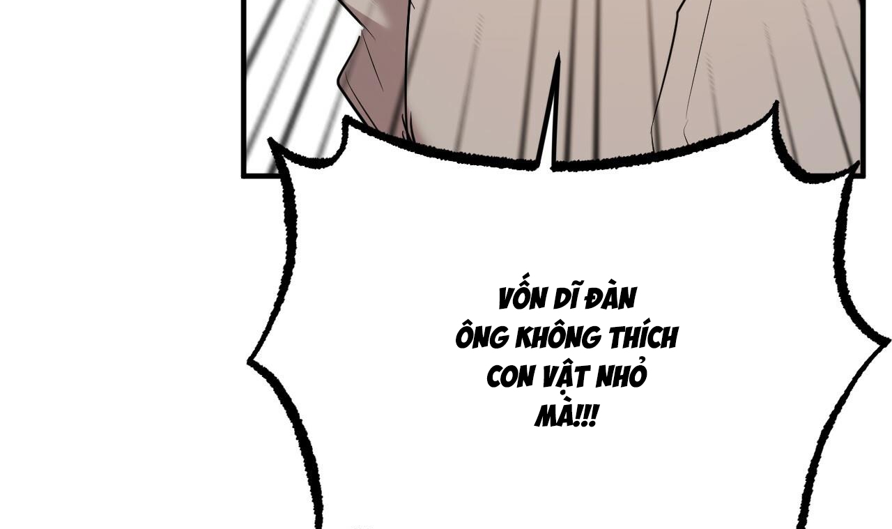 đàn thỏ của habibi chapter 34 130