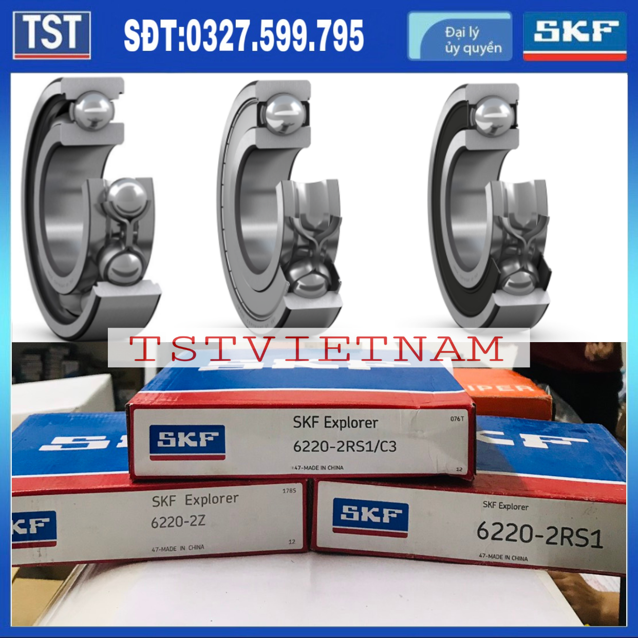 Vòng bi bạc đạn SKF 6220-2RS1