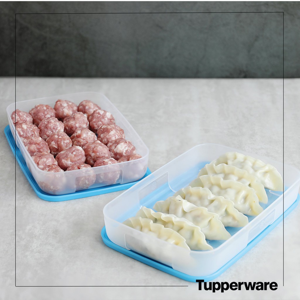 [ TUPPERWARE ]HỘP TRỮ ĐÔNG 650 ml thấp