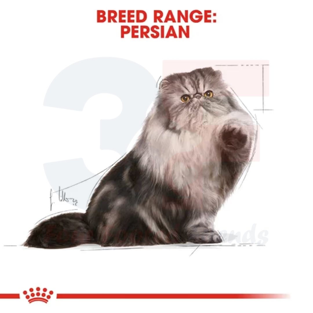 Pate Thức Ăn Ướt Dành Cho Mèo Ba Tư Tưởng Thành: Royal Canin Persian Adult - Gói 85g