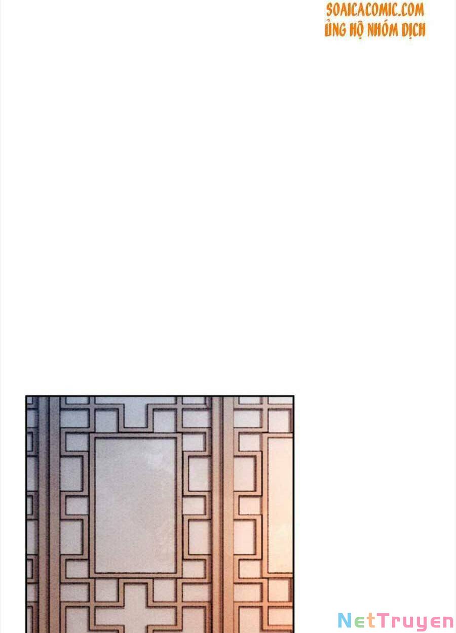 bắt đầu hủy hôn để công lược vương gia chapter 33 13