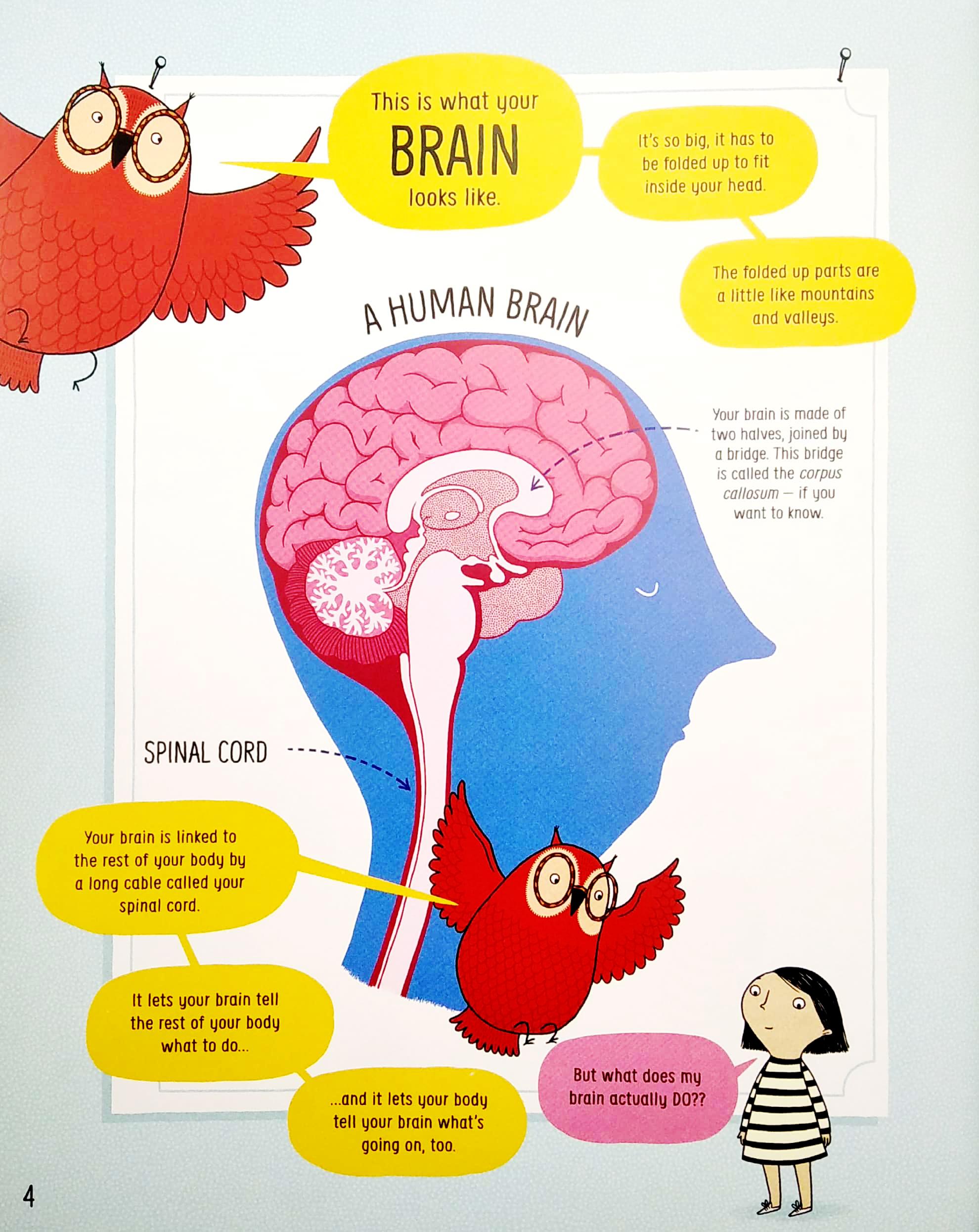 Usborne Book Of The Brain And How It Works