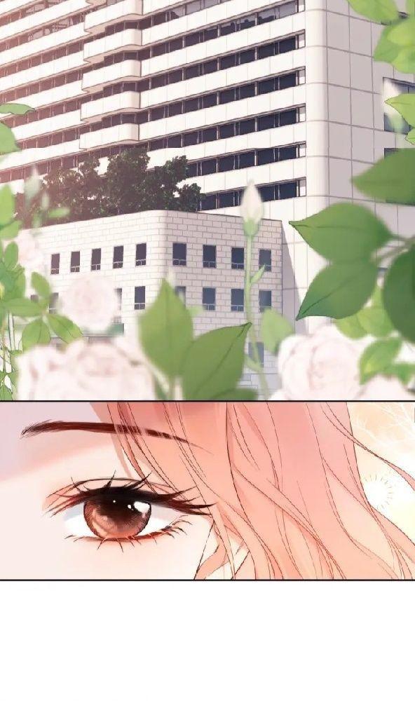 fan vợ - bạn đã biết chưa? chapter 2.5 3