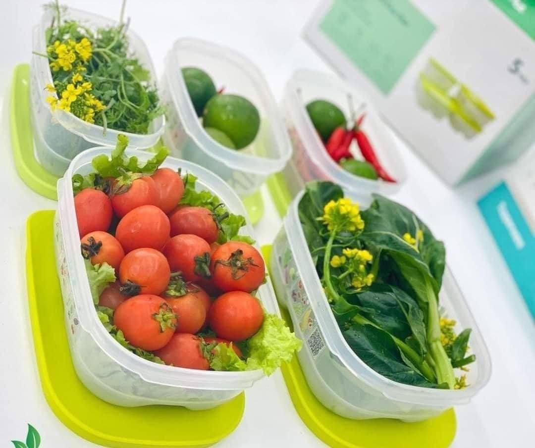 Bộ Hộp Tupperware Trữ Mát Có Nút Hô Hấp Ventsmart Five Star (05 Hộp) - Nữ Hoàng Ngăn Mát