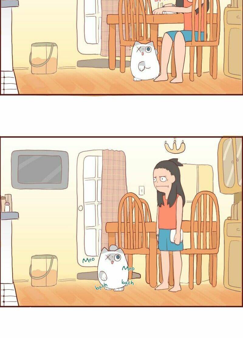 saphie: chú mèo một mắt chapter 6 8