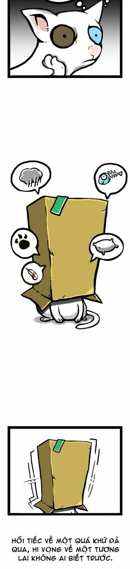 earth, human, and animal chapter 12 19