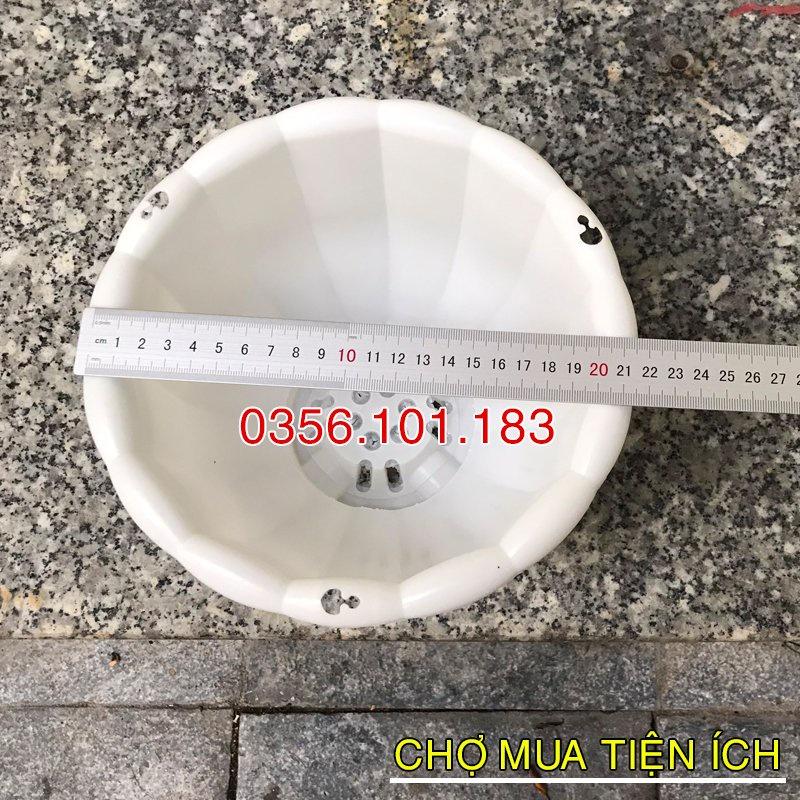 Chậu nhựa treo hình quả bí hàng loại 1- Chậu nhựa bí trồng cây hoa,cây cảnh nhiều màu