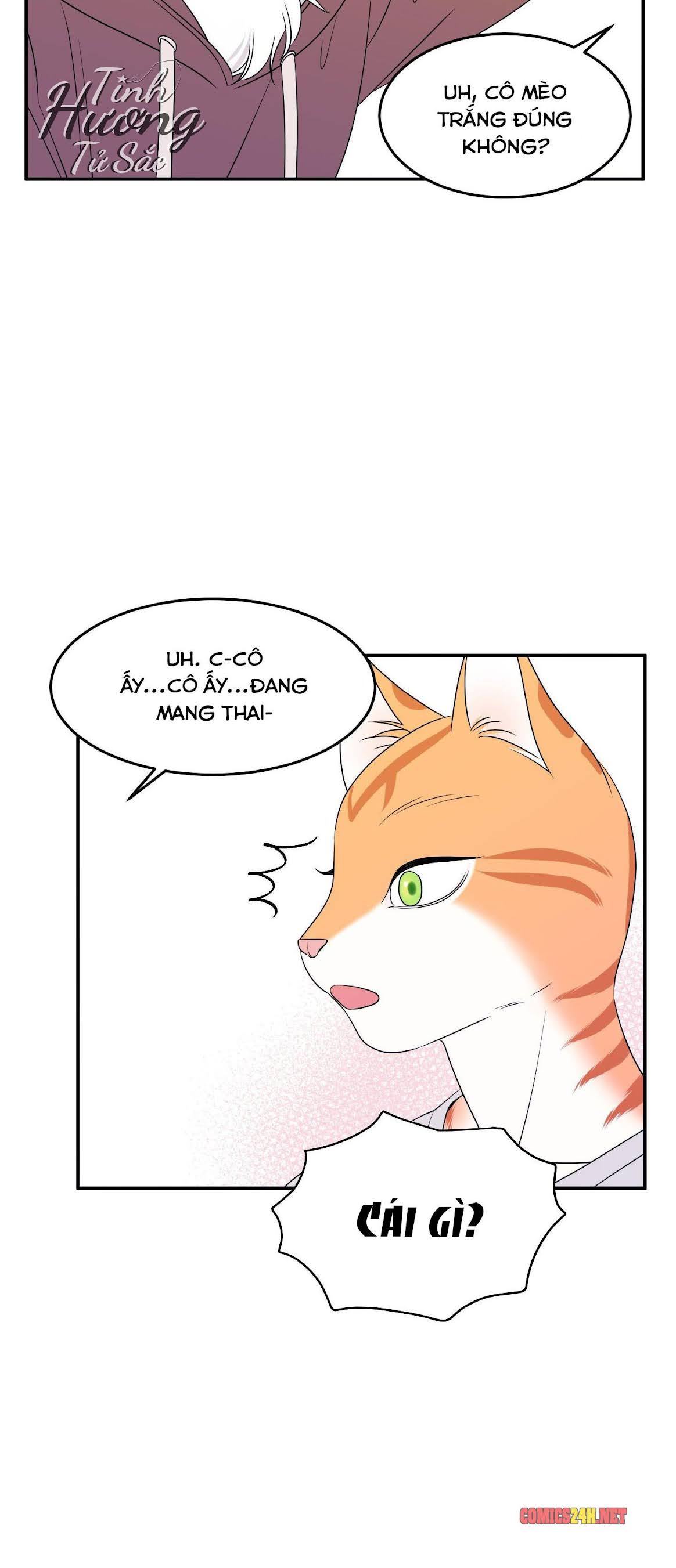 dự án xanh chapter 3 6