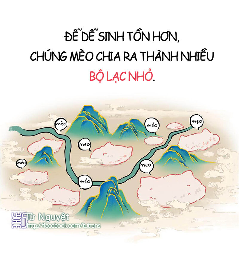 nếu lịch sử là một bầy mèo chapter 1 11