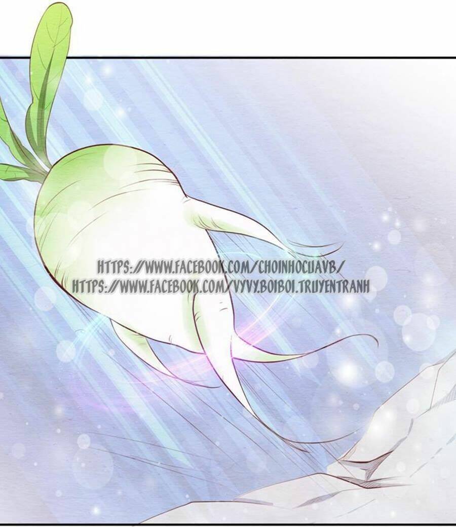 nhân hoa duyên chi sư phụ đại nhân cầu sủng ái chapter 4 17