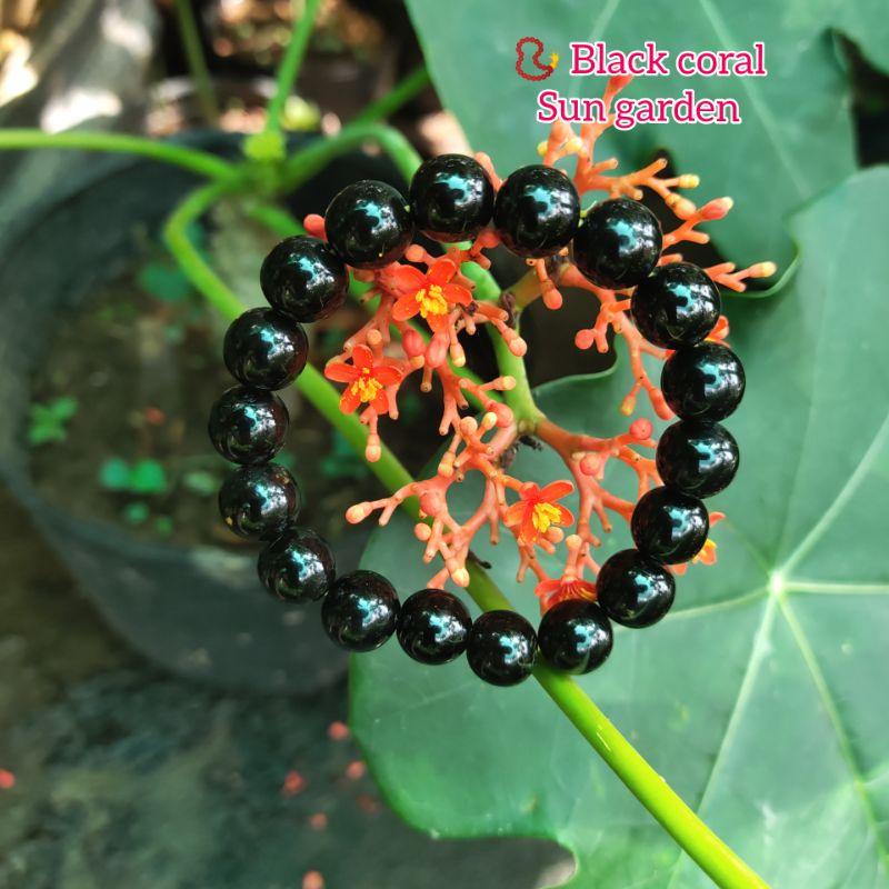 Vòng tay san hô đen sang trọng