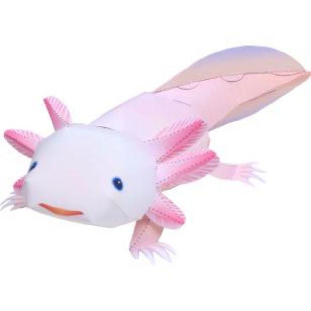 Mô hình giấy Động Vật kỳ giông Mexico (Axolotl)