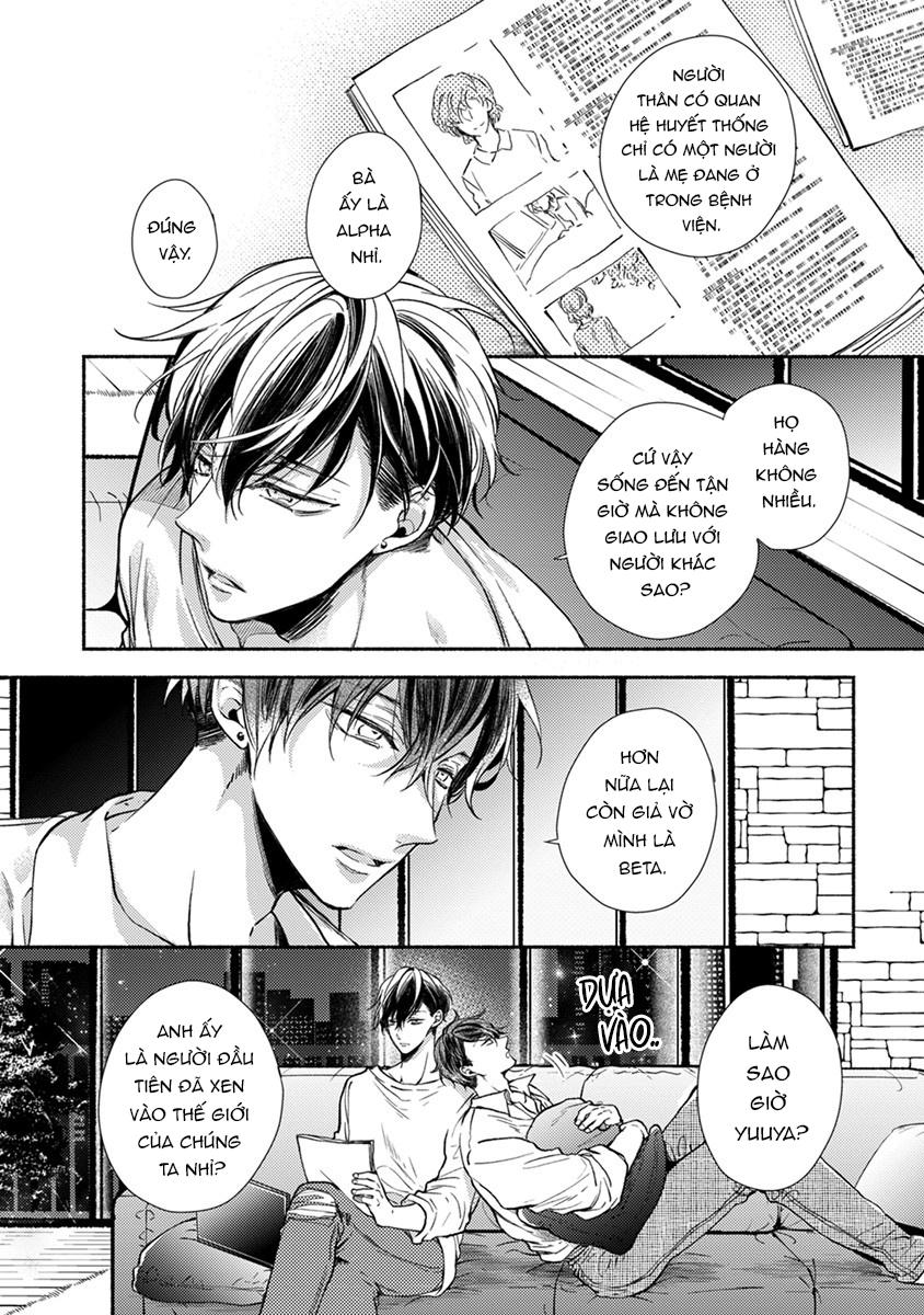 omega giả vờ kiên cường đó là bạn tình của tôi chapter 1 18