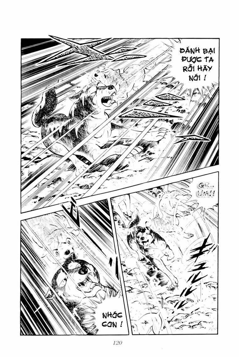 chú chó có nghĩa - ginga nagareboshi gin chapter 33 15