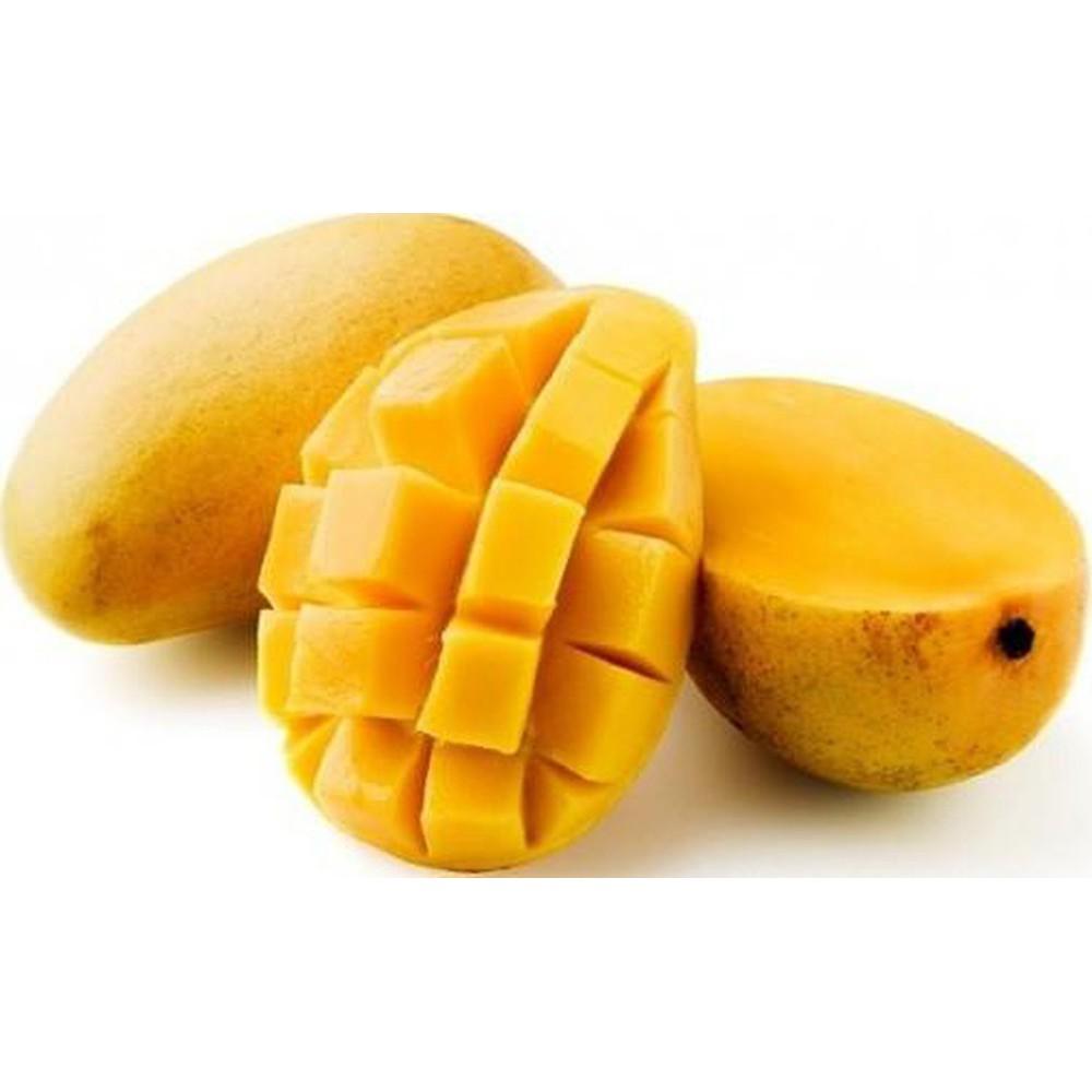 Cây giống Xoài Cát Hòa Lộc. .