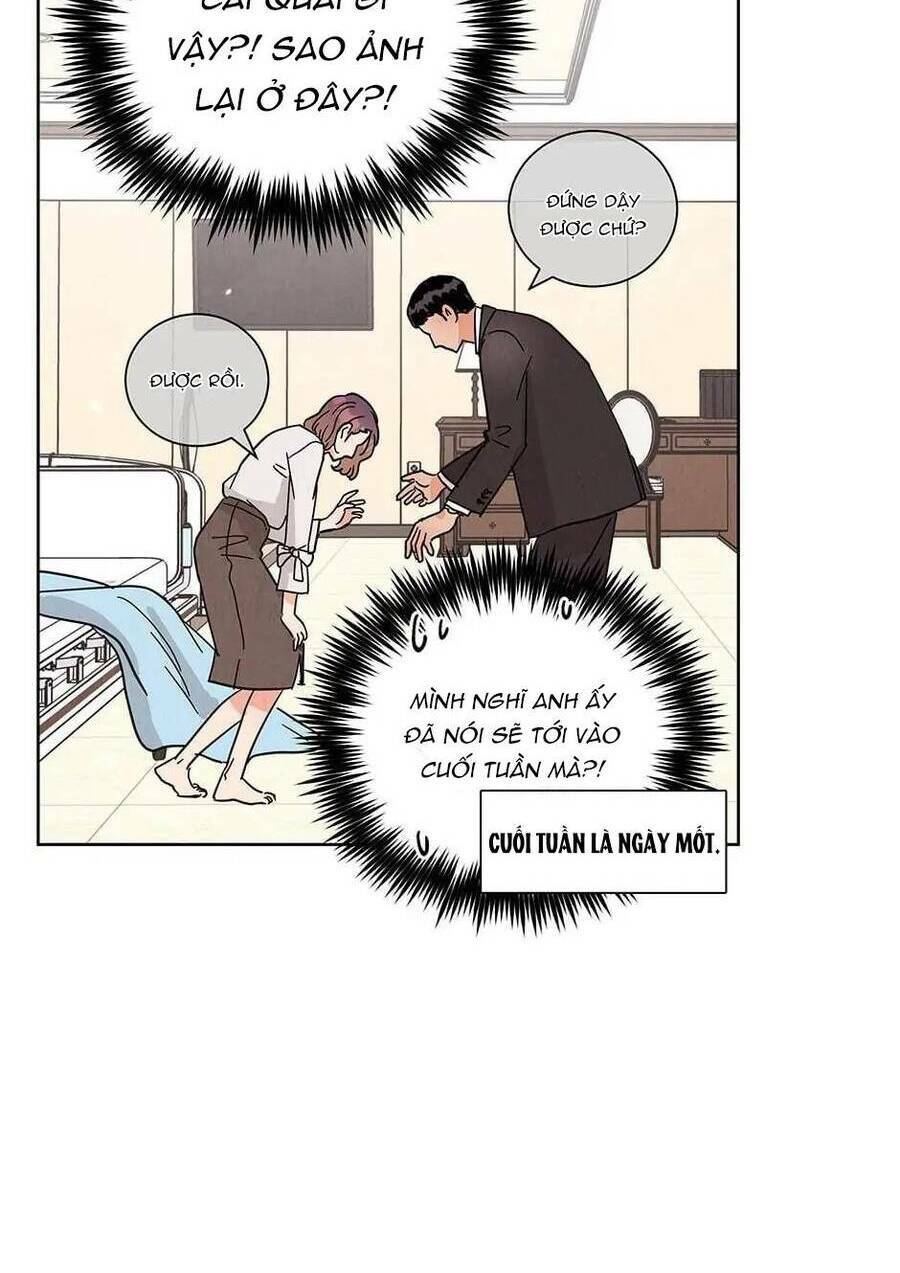 chào nhé, không làm thông gia nữa đâu! chapter 66 92