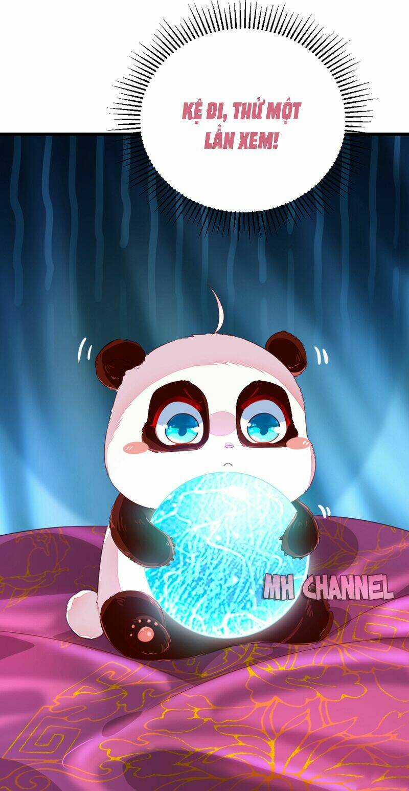 thiên thần gấu trúc muốn được ôm chapter 20 8