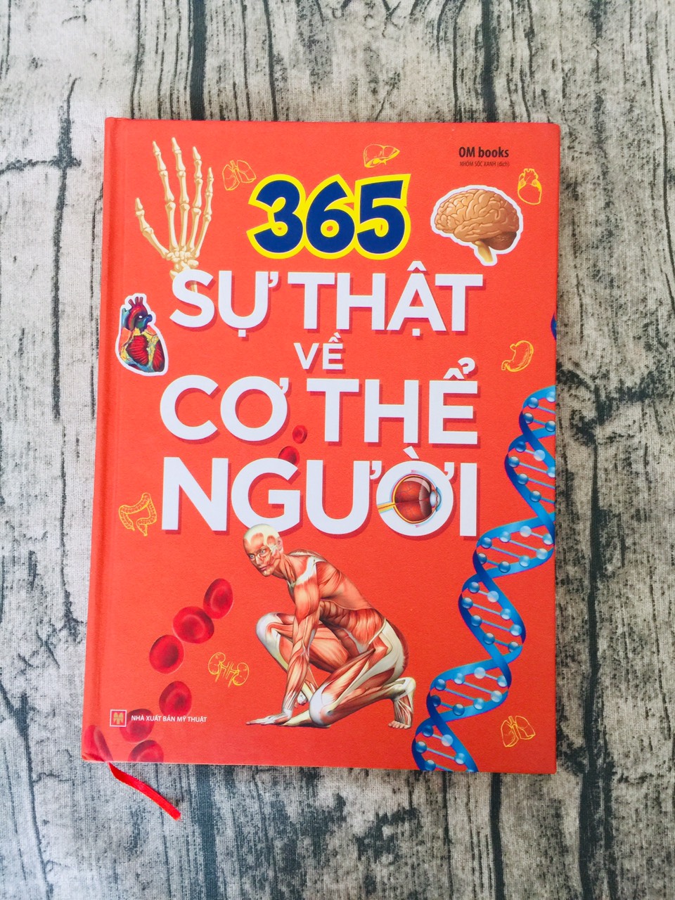 365 Sự Thật Về Cơ Thể Người