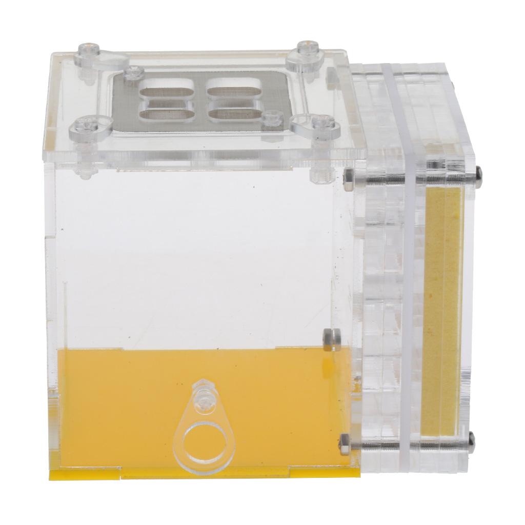 Kiến Nhà Ở Tổ Loài Côn Trùng Lồng Trang Trại Cho Ăn Độ Ẩm Bằng Nhựa Acrylic Màn Hình Hộp Vuông-Giáo Dục formicar