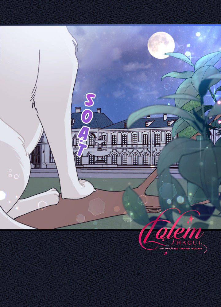 tôi đã kết hôn khi tôi tìm thấy nam chính chapter 15 68