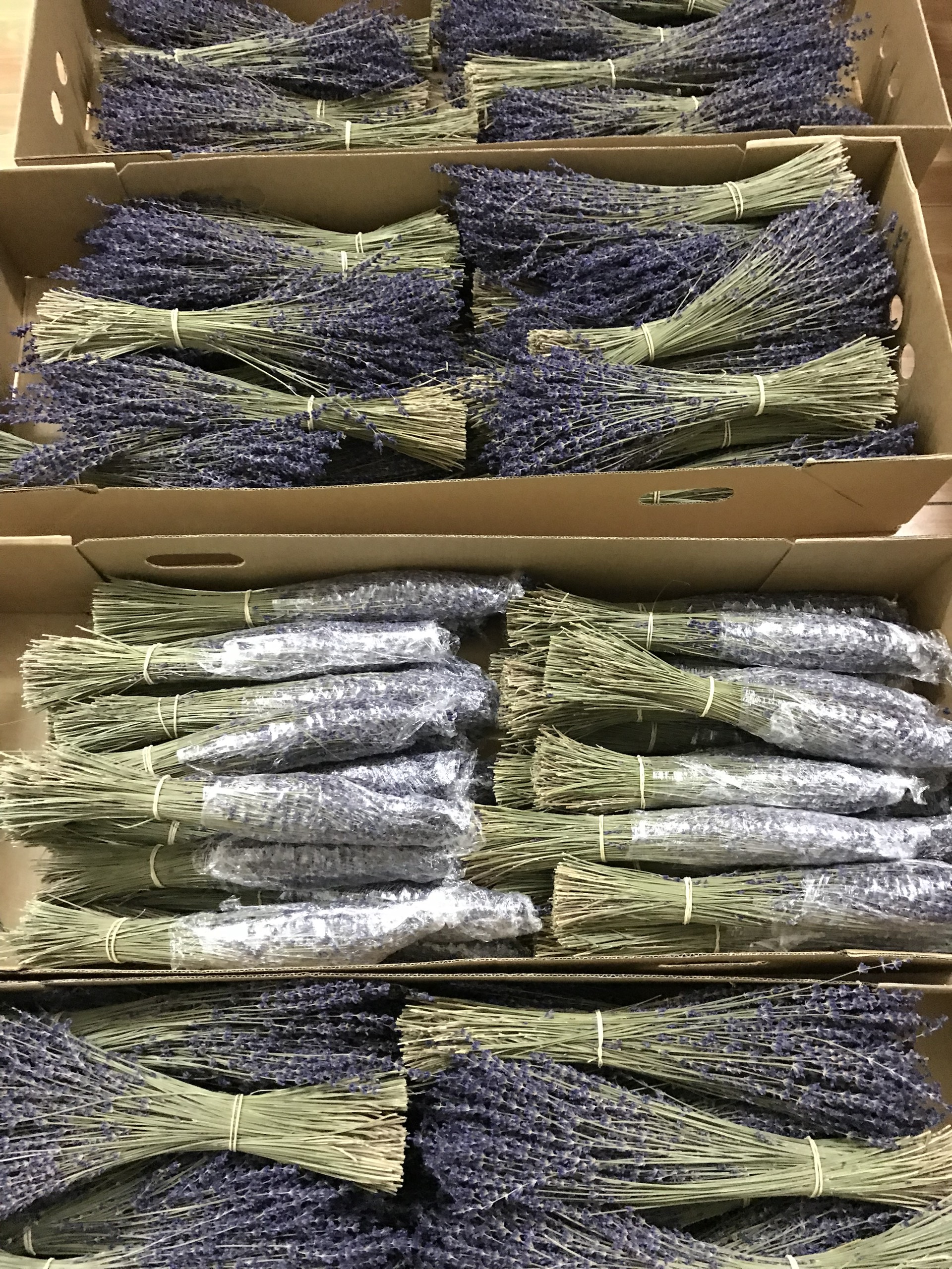 Hoa oải hương Lavender khô nhập khẩu Pháp organic mùi thơm tự nhiên trang trí decor nhà cửa (Bó 300 cành)