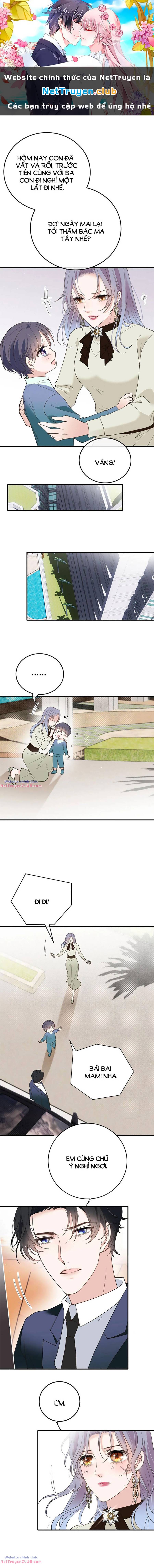 một vợ yêu, một bé con chapter 290 1