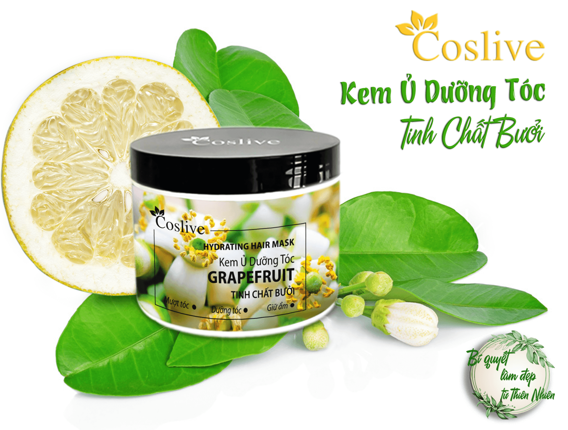 KEM Ủ DƯỠNG TÓC TINH CHẤT BƯỞI 500G COSLIVE