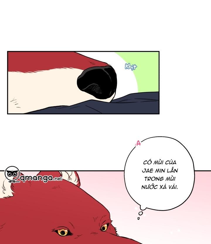 gâu gâu! chapter 19 26