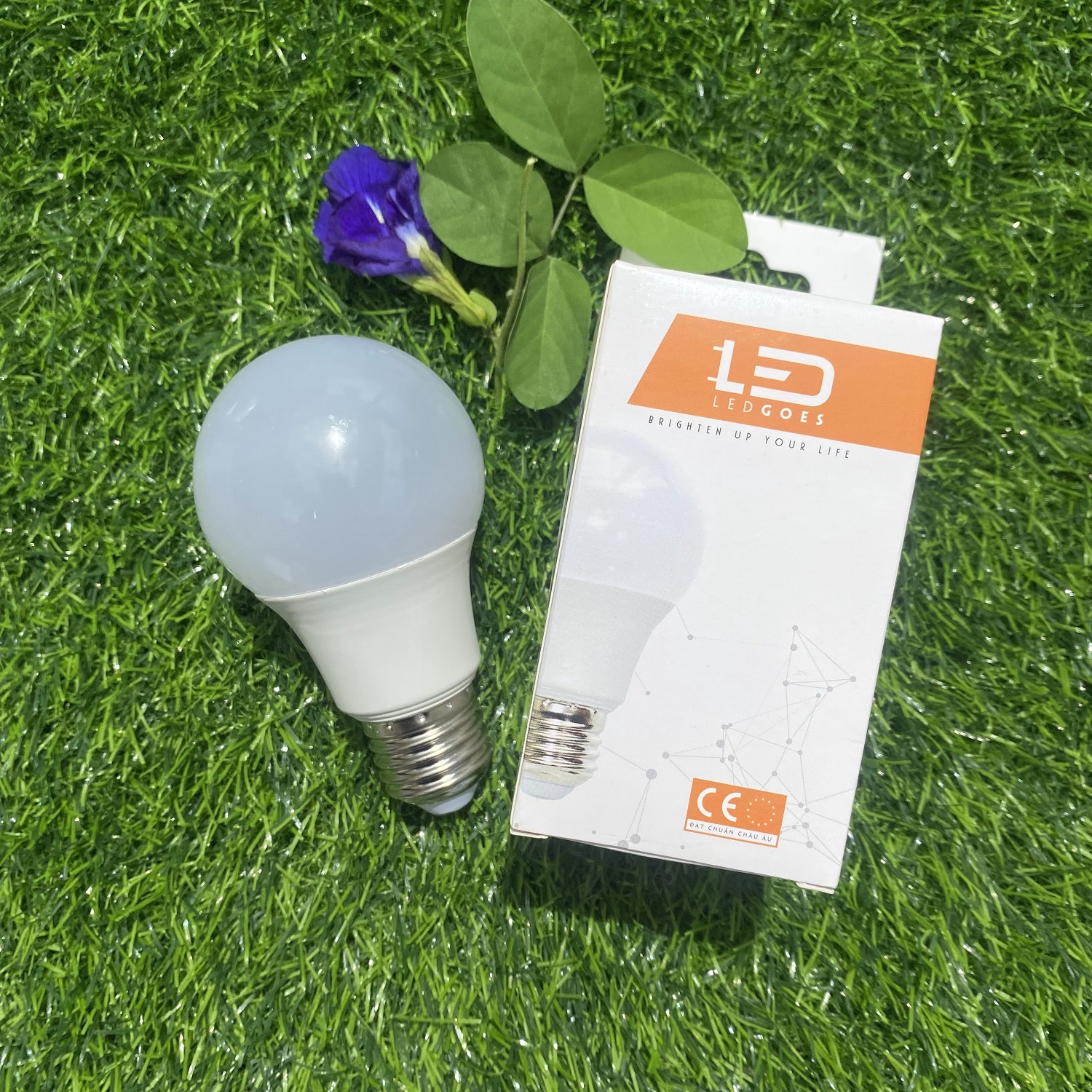 COMBO 2 Bóng đèn LED bulb tròn LEDGOES 12W