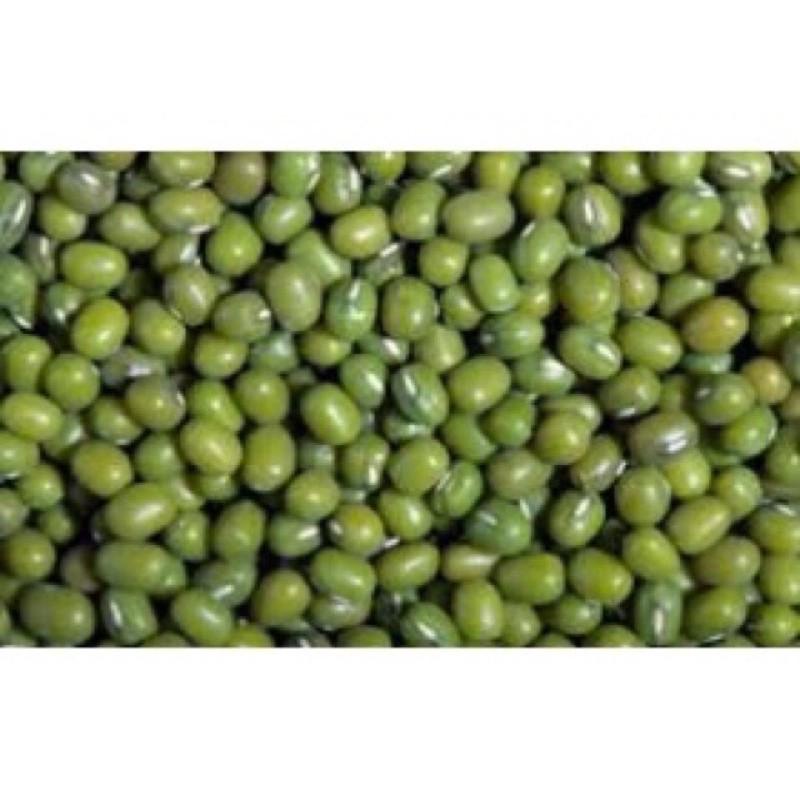 HẠT GIỐNG ĐẬU XANH CAO SẢN DX-208