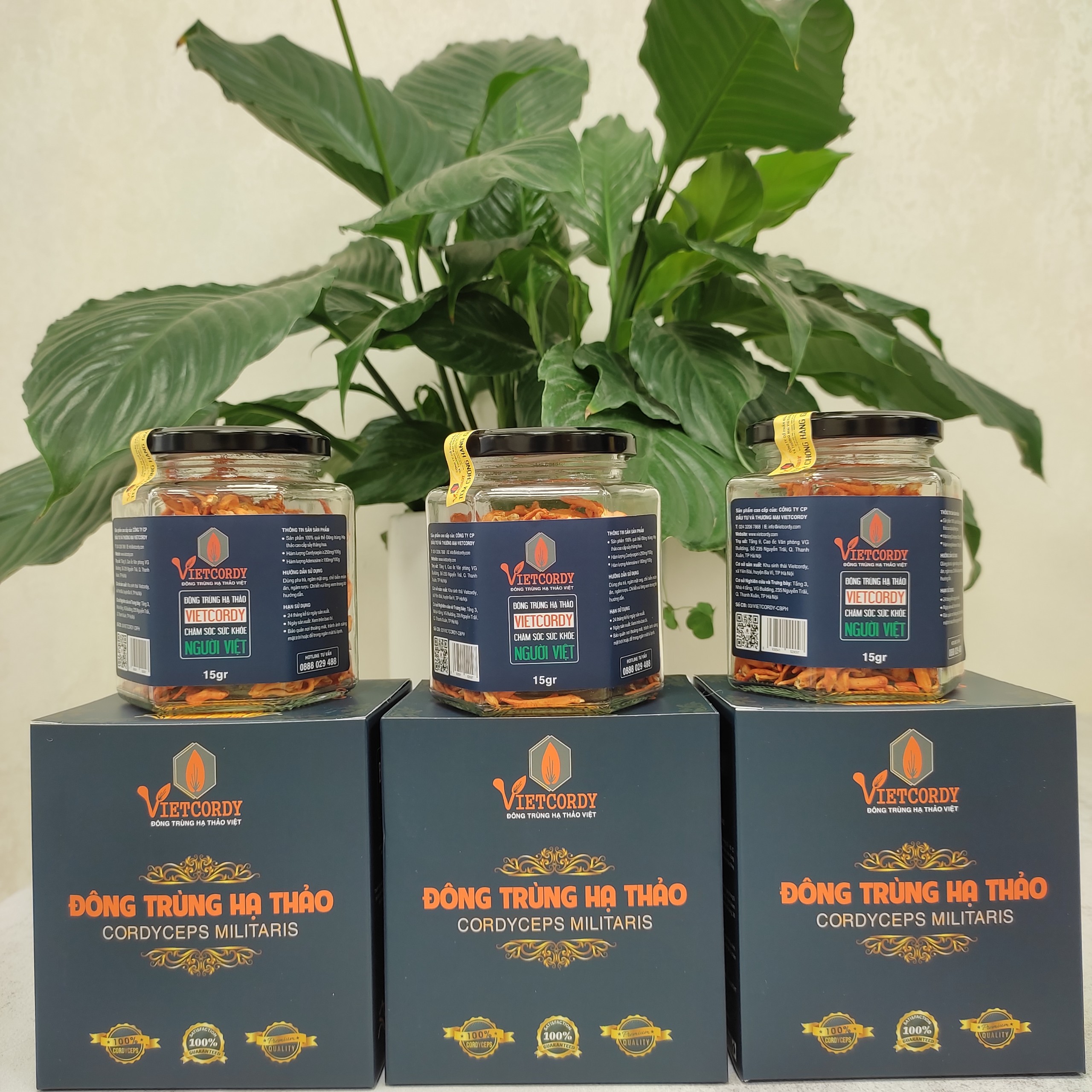 HÈ SÔI ĐỘNG ( MUA 3 HŨ *15GR TẶNG NGAY 1 HŨ 15GR CÙNG LOẠI )