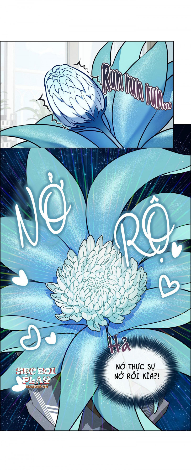 thực vật trị liệu chapter 5.5 6